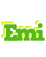 Emi picnic logo