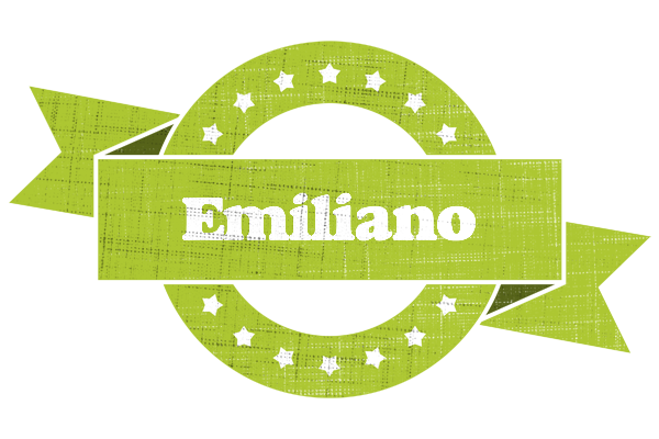 Emiliano change logo