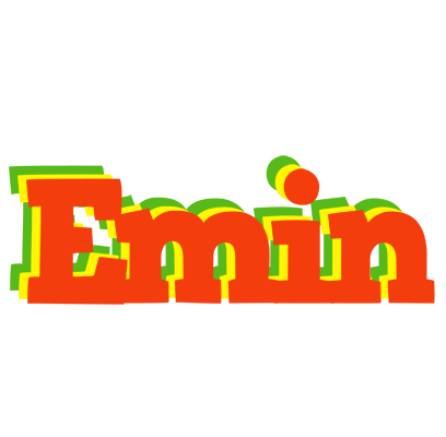 Emin bbq logo