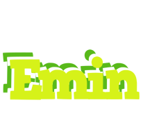 Emin citrus logo