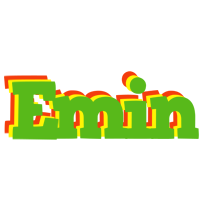 Emin crocodile logo