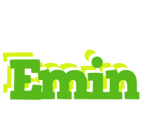 Emin picnic logo