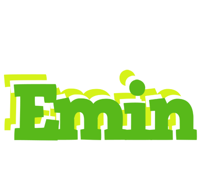 Emin picnic logo