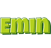 Emin summer logo