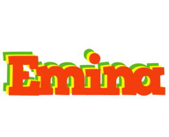 Emina bbq logo