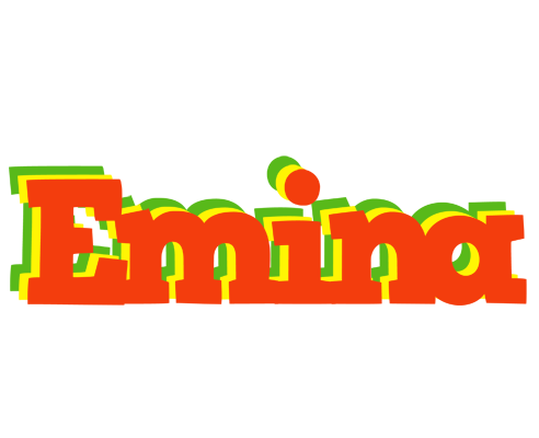 Emina bbq logo