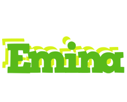 Emina picnic logo