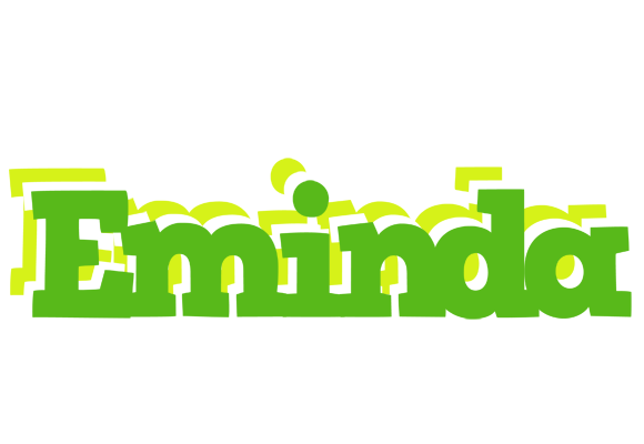 Eminda picnic logo