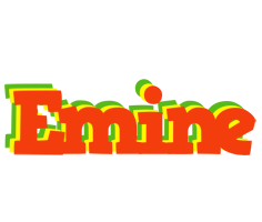 Emine bbq logo