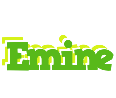 Emine picnic logo