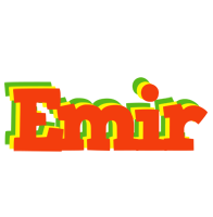 Emir bbq logo