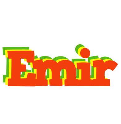 Emir bbq logo