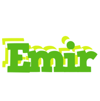 Emir picnic logo