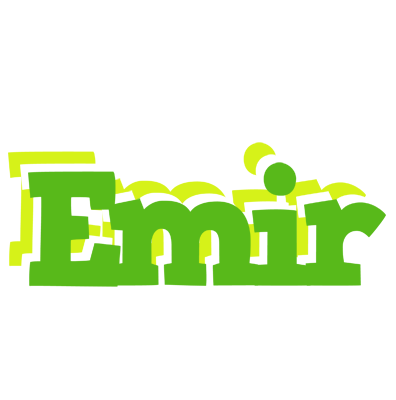 Emir picnic logo