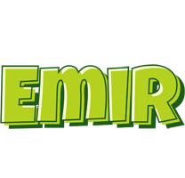 Emir summer logo