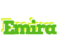 Emira picnic logo