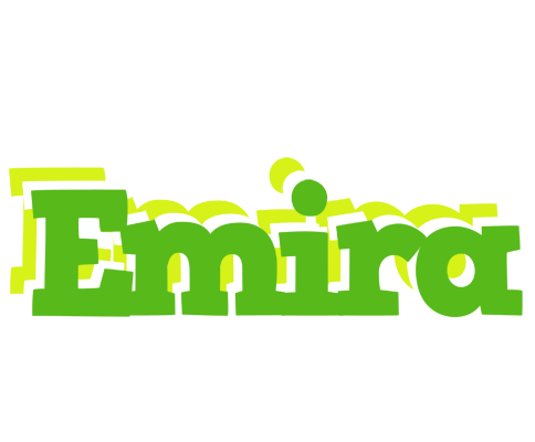 Emira picnic logo