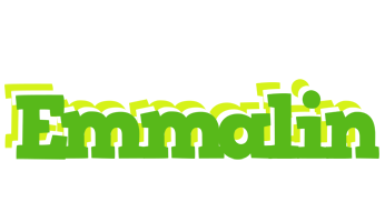 Emmalin picnic logo