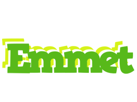 Emmet picnic logo