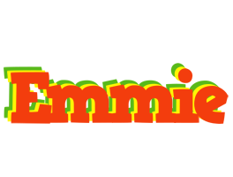 Emmie bbq logo