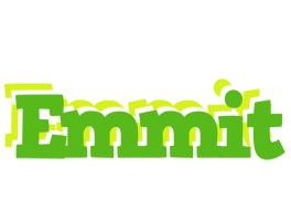 Emmit picnic logo