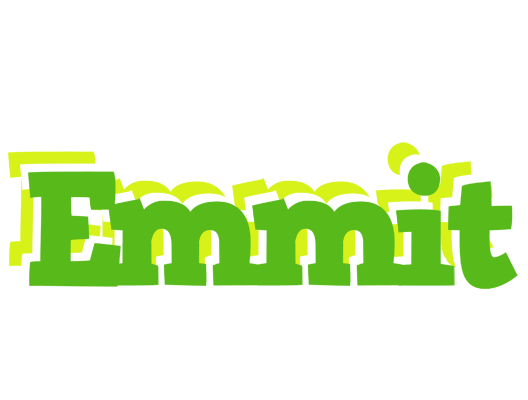 Emmit picnic logo