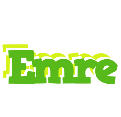 Emre picnic logo