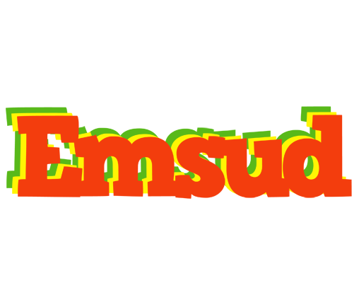 Emsud bbq logo