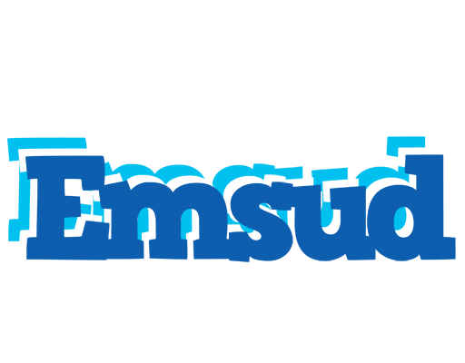 Emsud business logo