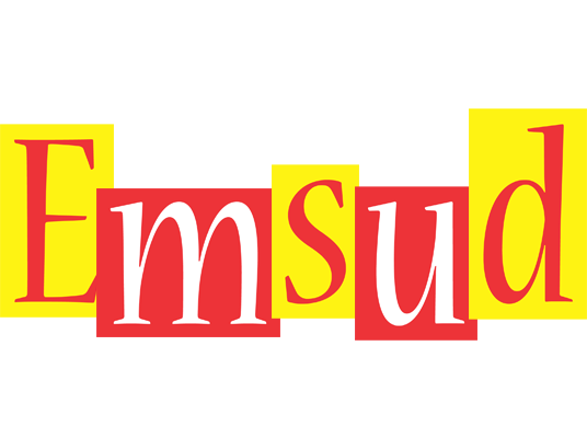 Emsud errors logo