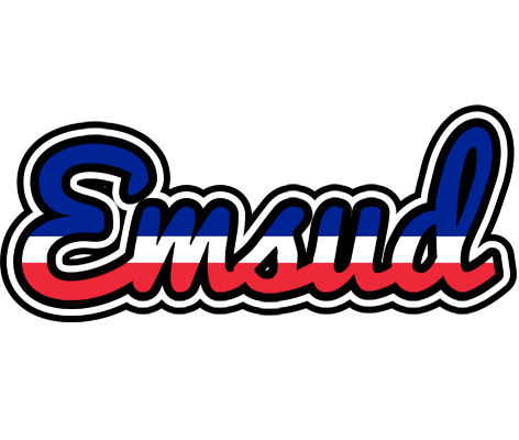 Emsud france logo