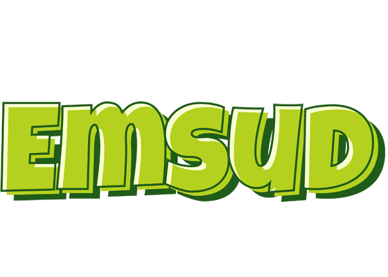 Emsud summer logo