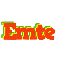 Emte bbq logo