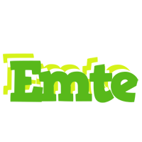 Emte picnic logo