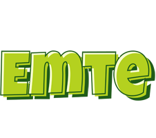 Emte summer logo