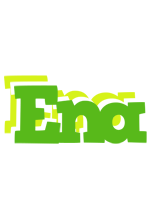 Ena picnic logo