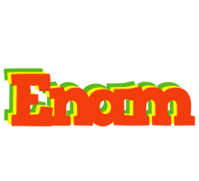 Enam bbq logo