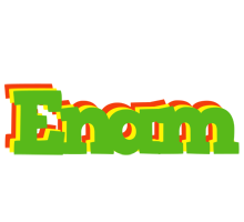 Enam crocodile logo