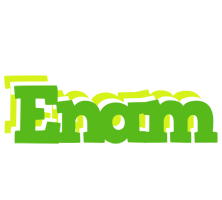 Enam picnic logo