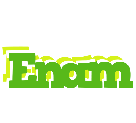 Enam picnic logo