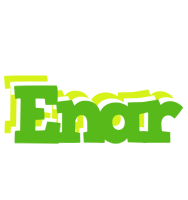 Enar picnic logo