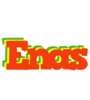 Enas bbq logo