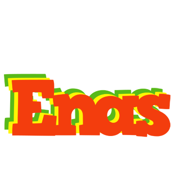 Enas bbq logo