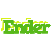 Ender picnic logo