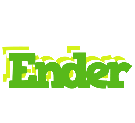 Ender picnic logo