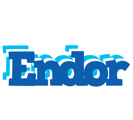 Endor business logo