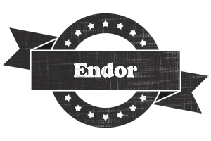 Endor grunge logo