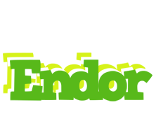 Endor picnic logo