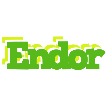 Endor picnic logo