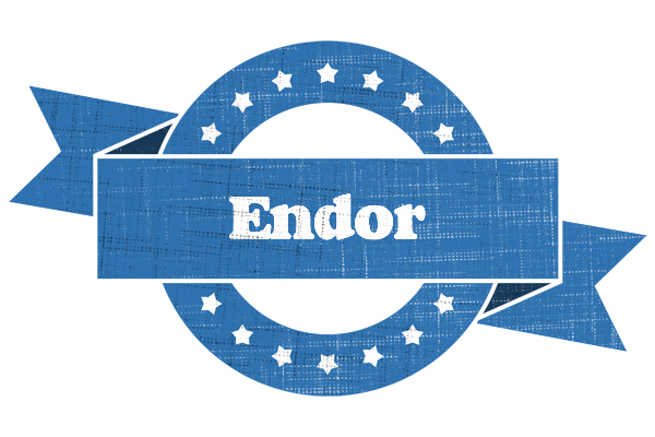 Endor trust logo